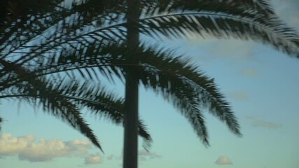 Airplane flight on the sky in slow motion 180fps