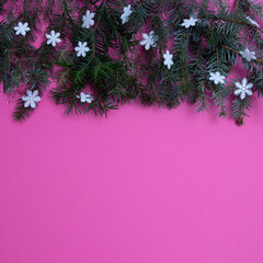 Evergreen trees with snowflakes on a pink background with copy space. Flat lay concept.