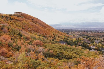 Utah Views