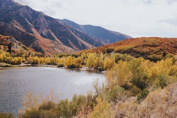 Naklejka premium Utah Views
