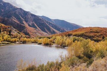 Fototapeta premium Utah Views