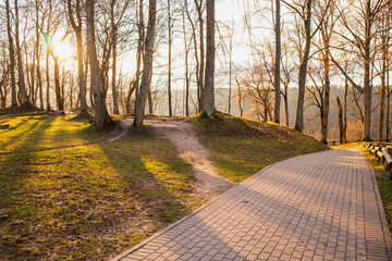 Paved path in the park in late autumn. The sun shines through the branches of the trees without leaves
