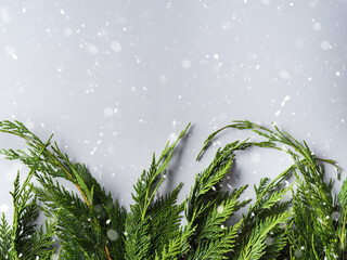 Winter green thuja branches frame on gray background with snow - 471141381