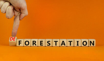 Forestation or deforestaion symbol. Ecologist turns wooden cubes and changes the word deforestation...