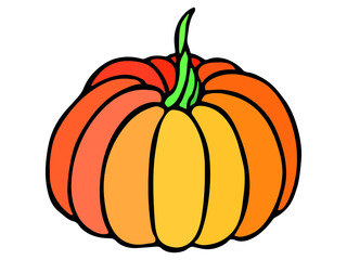 Vector hand drawn illustration of pumpkin. Isolated object on white background. Vegetable harvest clip art.  Farm market product. Elements for autumn design, decoration.