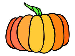 Vector hand drawn illustration of pumpkin. Isolated object on white background. Vegetable harvest clip art.  Farm market product. Elements for autumn design, decoration.
