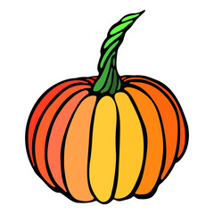 Vector hand drawn illustration of pumpkin. Isolated object on white background. Vegetable harvest clip art.  Farm market product. Elements for autumn design, decoration.