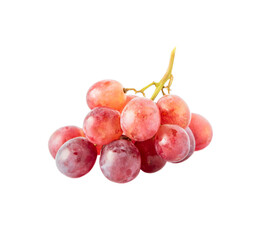 Branch of pink grapes close up isolated on white background.