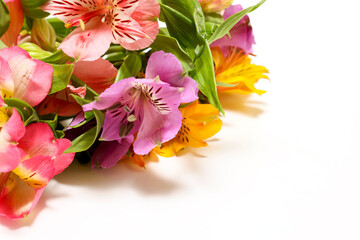 白背景のアルストロメリアの花束 