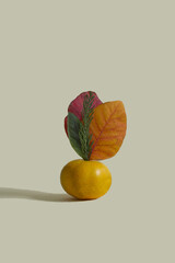 Tangerine on a yellow background with autmn leaves in it. Conceptual.