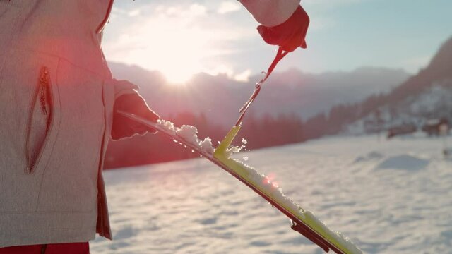 SLOW MOTION, CLOSE UP, LENS FLARE, DOF: Split boarder takes the protective layer off the bottom of skis. Active tourist rips skins off the bottom of their split boarding gear before riding at sunrise.