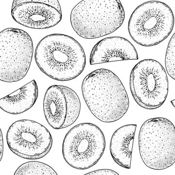 Seamless pattern with kiwi fruit sketch. Hand drawn vector illustration. Design, package, brochure illustration. Hand drawn kiwi fruits design template. Organic fresh food vector illustration.