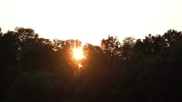 Sunset throught the trees