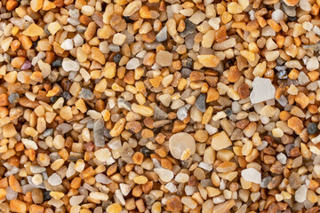Sea sand Ghajn Tuffieha beach, Malta with reddish orange particles few ocean shell remains visible. Microscope photo, image width 9mm