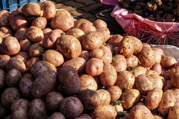Sun shines on pile of potatoes displayed at street food market in Morocco