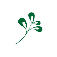 Green Leaf  Icon Vector Illustrations 