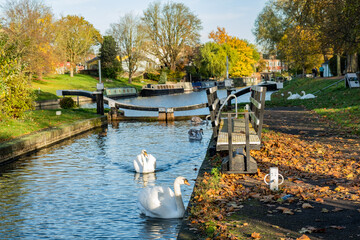 Cambridge, Cambridgeshire, UK – November 2021. Cambridge Lock on the River Cam in Jesus Green on...