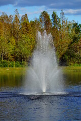Fototapeta na wymiar A Florida community pond in winter