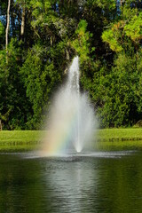 Naklejka premium A Florida community pond in winter 