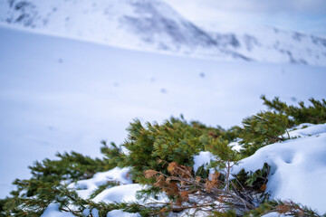 富山県立山町にある立山の冬の雪景色のある風景 Landscape with snowy winter scenery of Tateyama in Tateyama Town, Toyama Prefecture, Japan.