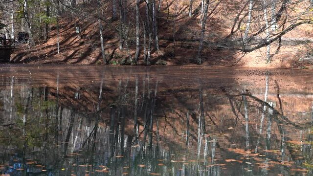 Fall season in sevenlakes (yedigoller) with great reflection view, Bolu, Turkey 