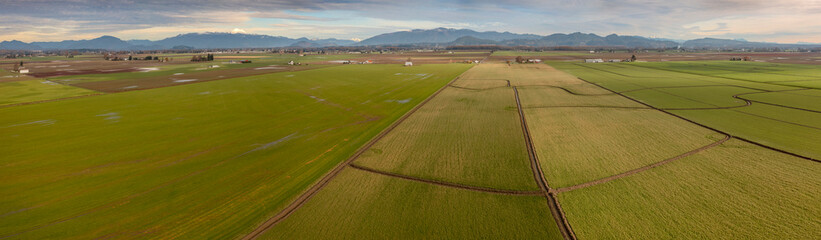 Naklejka premium Aerial View of Farmland in the Skagit Valley, Washington. This region has been recognized as having some of the most agriculturally productive and valuable farmland in the world.
