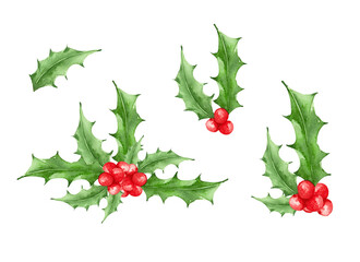 Collection set with isolated Christmas branches of holly tree. watercolor branches with the red berries and green leaves.