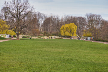 Obraz premium Frühlingsstimmung auf der großen Liegewiese im Palmengarten mit blühenden gelben Bäumen und Parkbesuchern, Leipzig, Kreisfreie Stadt Leipzig, Sachsen, Deutschland