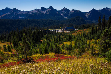 Beautiful, vibrant, lush autumn foliage with the Tatoosh mountain range in the background at Mt. Rainier National Park in Washington state
