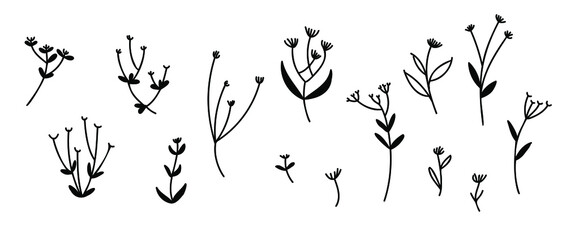 A set of 14 hand-drawn plants in the doodle style. Vector illustration for creating modern compositions and patterns. Simple plants and leaves.