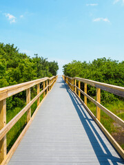 wooden bridge over dunes