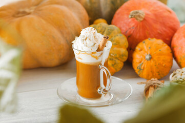 Cup with foam and cinnamon on background of pumpkins. Pumpkin autumn warming drink close-up and copy space...