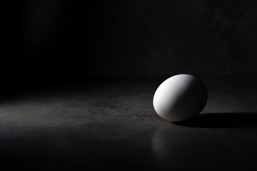 Darkfood style scene with a white chicken egg isolated, with space available.