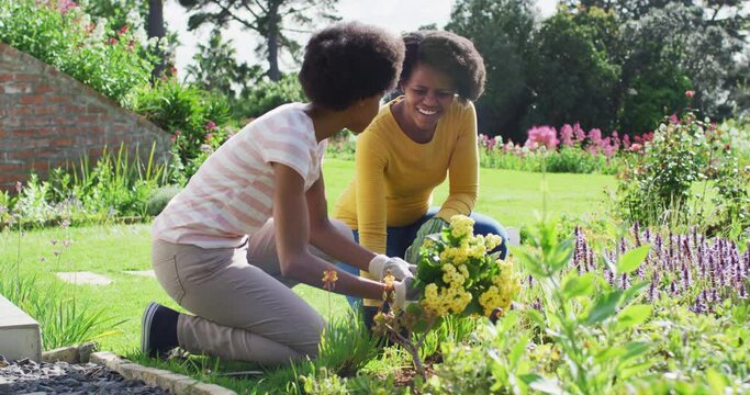 Portrait of smiling african american mother and daughter gardening together in sunny garden