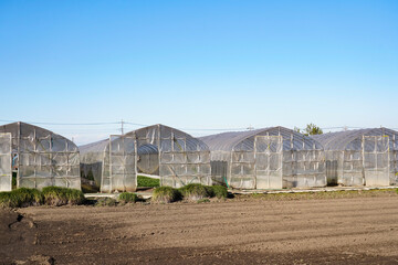 ビニールハウス