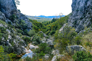 Beautiful landscape with mountains, mountain stream and forests in the vicinity of the town of Bar, Montenegro, Balkans. Summer.