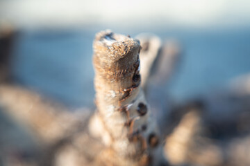 close up of an chain