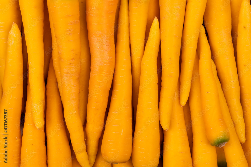 Wall mural carrot ingredients and harvest time