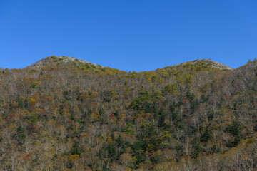 日光白根山の紅葉