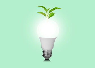 Saving energy, eco-friendly lifestyle. Light bulb and fresh green leaves on green background
