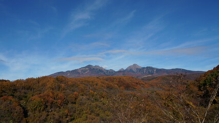 秋のカラフルな紅葉で覆われた山の風景　-日本、八ヶ岳、高原大橋