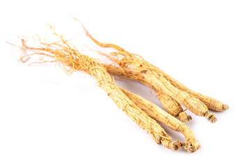 Ginseng, dried vegetable herb. Healthy food famous export food in Korea country isolated on white...