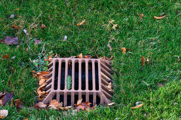 Square stormwater grate in a grassy median, assortment of fall leaves
