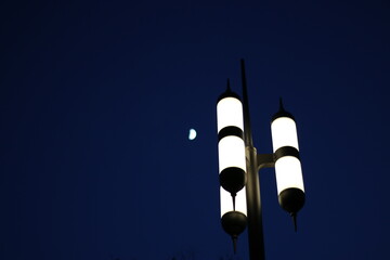 夜に生えるライト