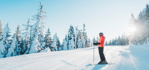 Skiing woman skier looking at mountains landscape nature outdoors standing holding skis. Alpine ski riding white powder snow slopes in cold weather on idyllic view banner. Winter sports