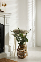 Beautiful eucalyptus branches in vase and stool near fireplace indoors