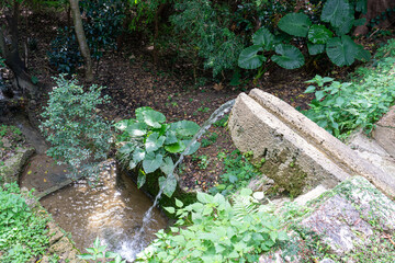 Obraz premium 沖縄 那覇 世界遺産 識名園の滝口