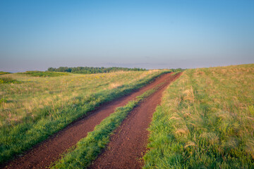 Road to the field. Grass on the sides.