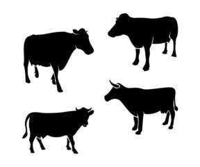 Silhouette of cow, set silhouette of cow, black and white cows