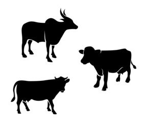 Silhouette of cow, set silhouette of cow, black and white cows, milk 